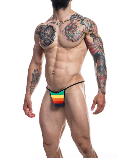 C4M12 Briefkini Rainbow