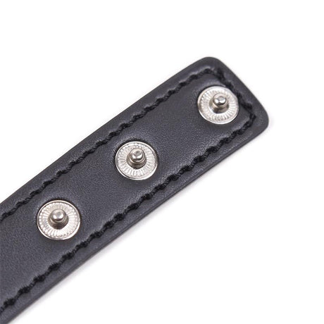 Collar with Heart Shaped Hoop Adjustable 41,5 cm Black