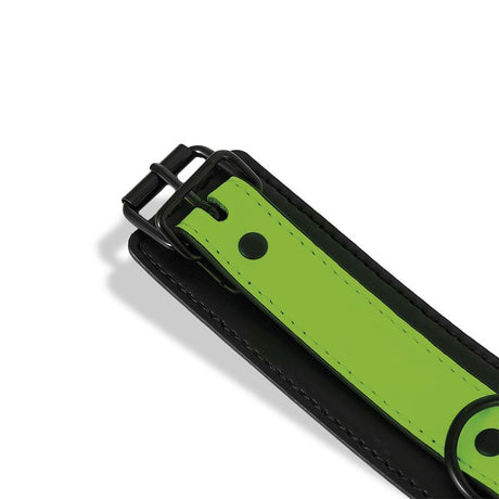 Нашийник с повод, светещ в тъмното | Intoyou® Shining Line